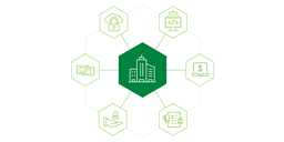 Business Requirements Workshop