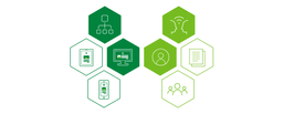 Business Requirements Workshop