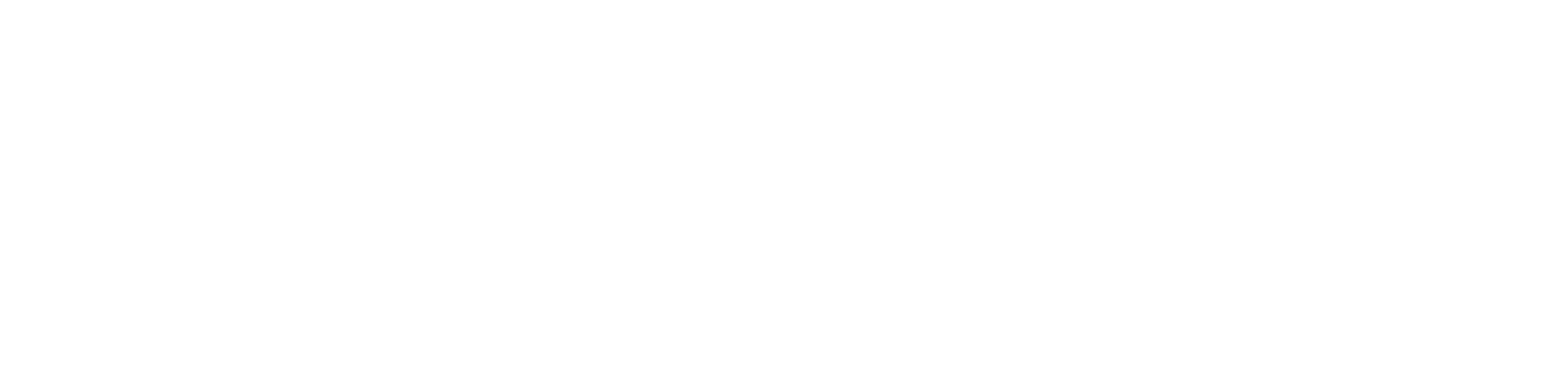 Custom design, development, professional service, and AI consulting